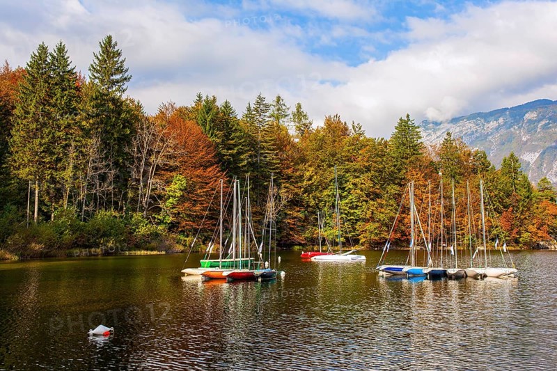 Slovenia. Sailing yachts and motor boats. Magnificent lake with clear water is surrounded by dense forests. Bohinj is an alpine lake in the Julian Alps