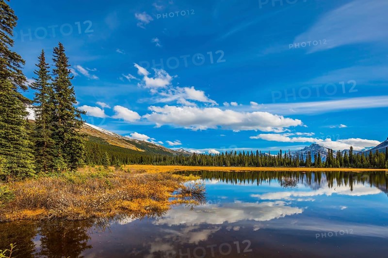 Swamp in the valley of the Rocky Mountains. Clouds are reflected in smooth water. Autumn in Canada. The concept of ecotourism