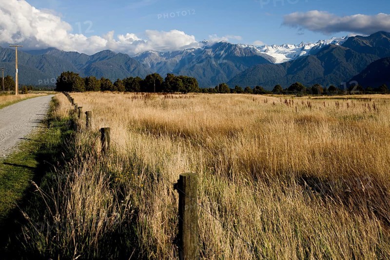 Fox Glacier New Zealand Rural dirt road Southern Alps