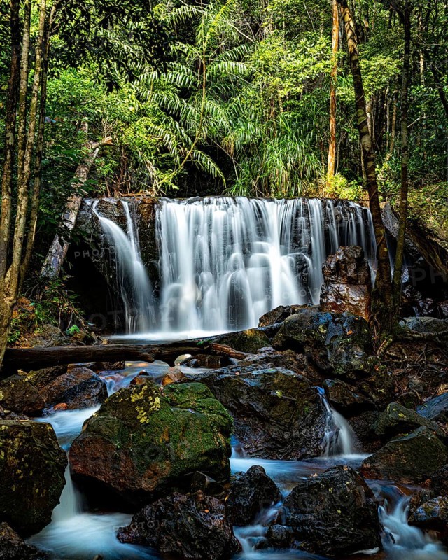 A serene waterfall cascades over rocks surrounded by lush greenery in a tropical forest, landscape, nature, mountain, waterfall, jungle, Vietnam, phu quoc, Suoi Tranh Waterfall, water