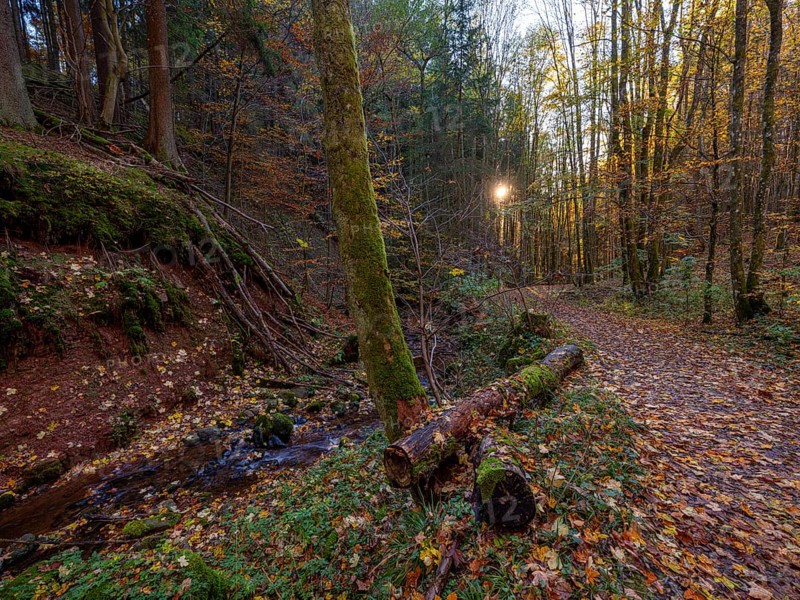 Cascade gorge with autumn leaves, Gersfeld, Rhön, Hesse, Germany