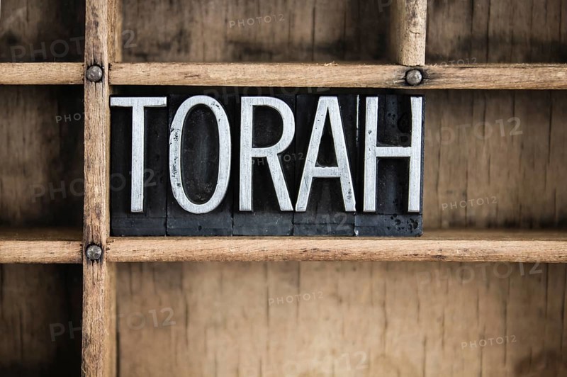 The word TORAH written in vintage metal letterpress type in a wooden drawer with dividers