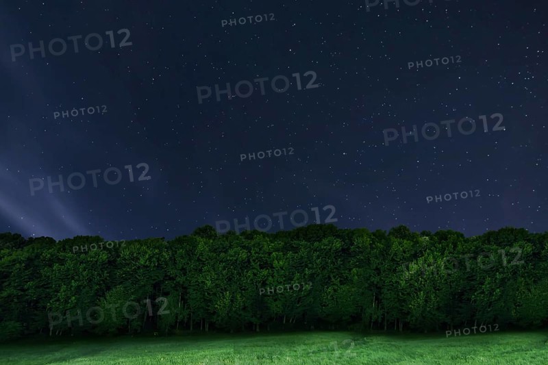 Night forest background. Night starry sky. Night sky with stars