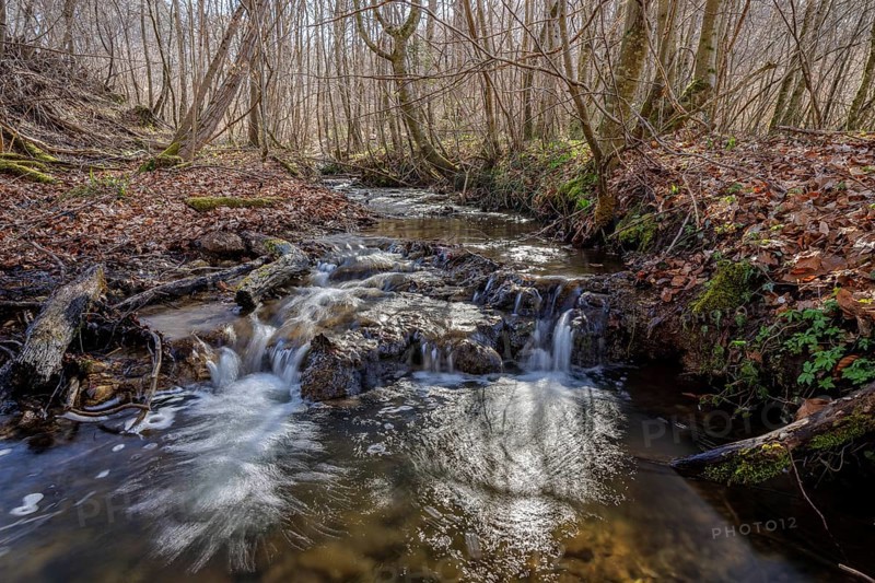 Small waterfall flows through wooded terrain, Stöckenhof, Bodanrücken, Allensbach, Lake Constance, Baden-Württemberg, Germany