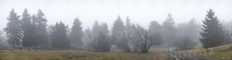Panoramic shot of the fog-covered, frosty tree landscape on the Großer Feldberg, Taunus, Hesse, Schmitten, Germany