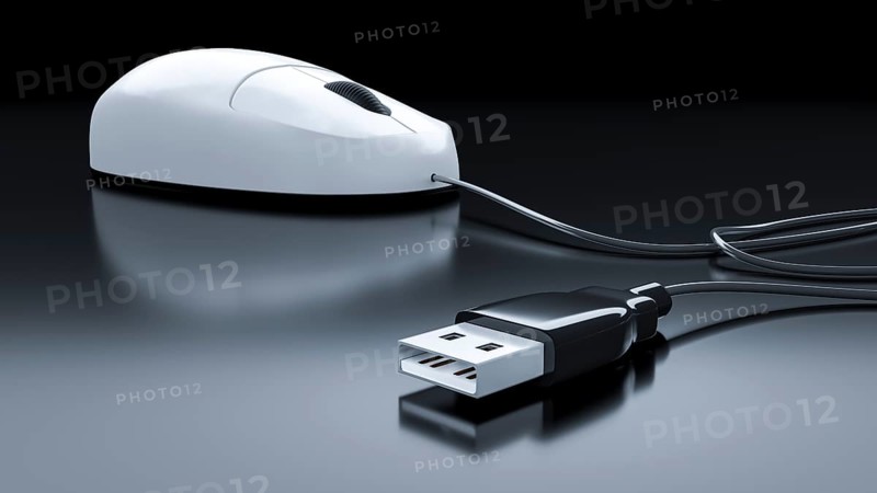An image of a typical computer mouse