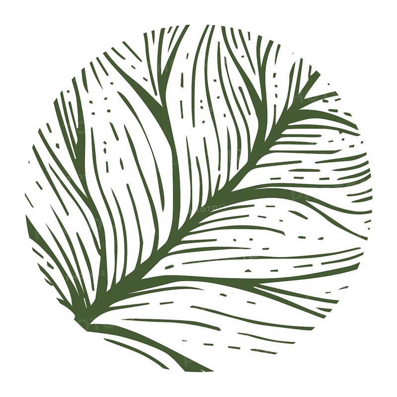 Abstract eco theme, circle with leaf veins over white