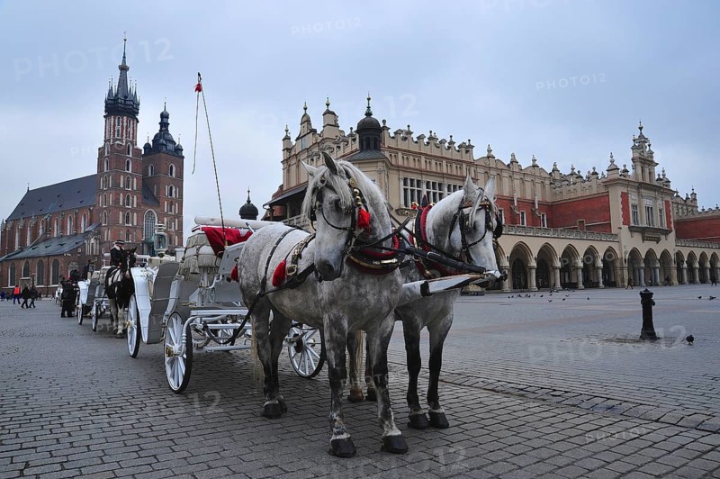 Horse and cart on the main market square in Krakow