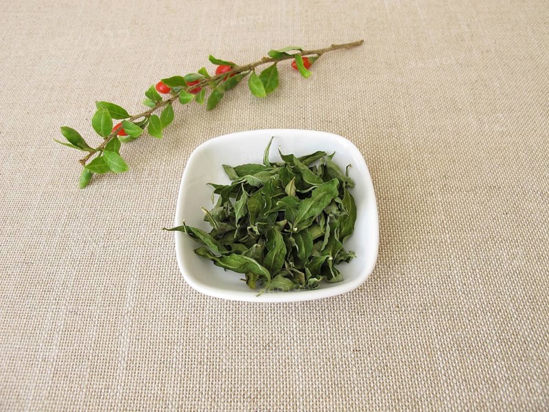 Dried goji leaves in a bowl and a fresh goji branch