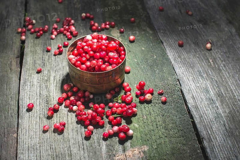 Cranberries in einer Schüssel