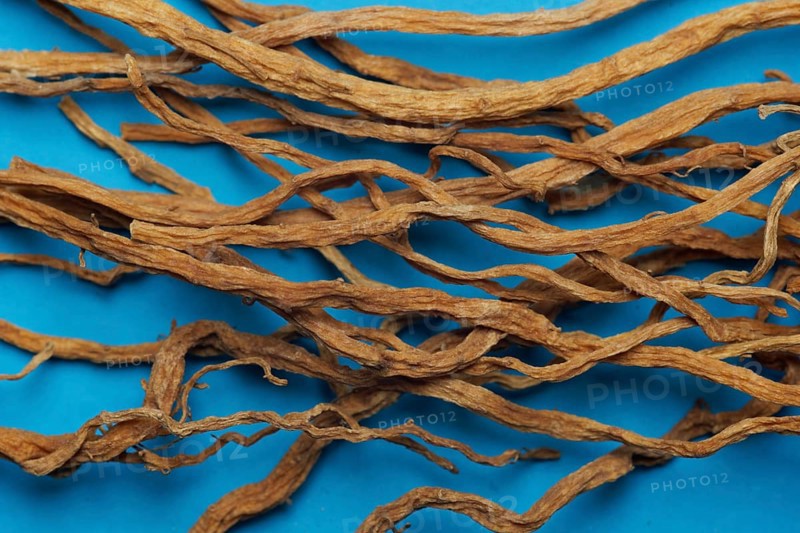 Gentianae radix, gentian root, longdancao