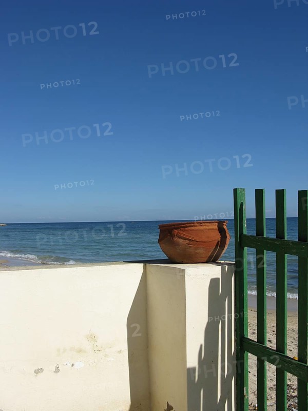 Still life on the beach