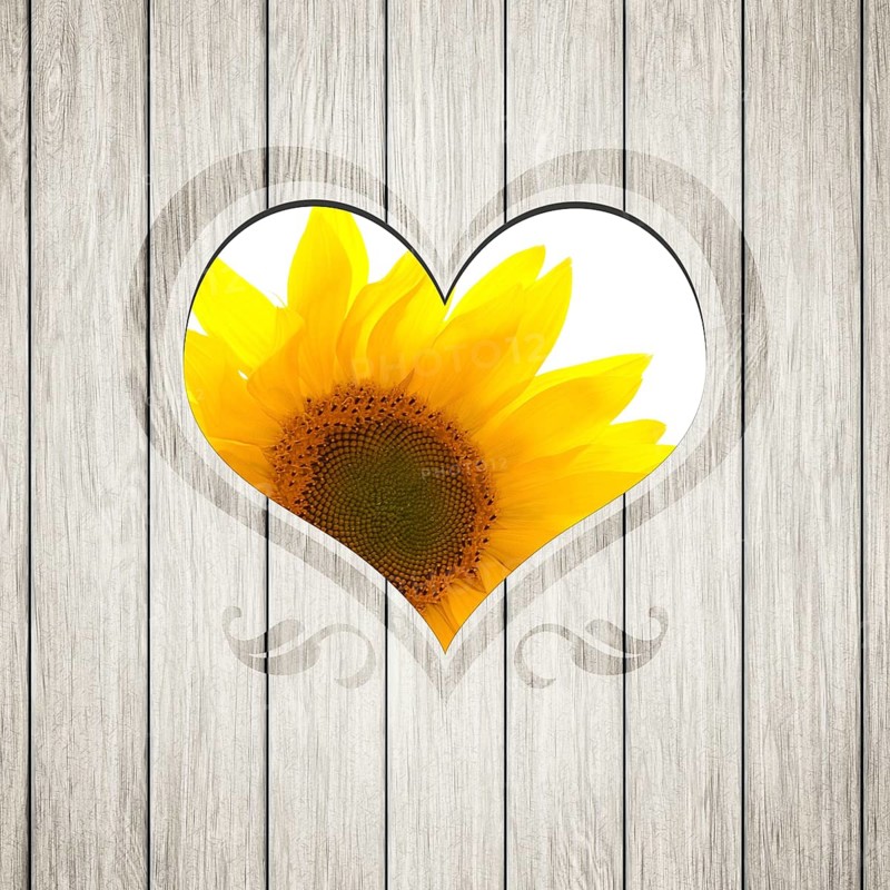 An image of a beautiful wooden heart sunflower