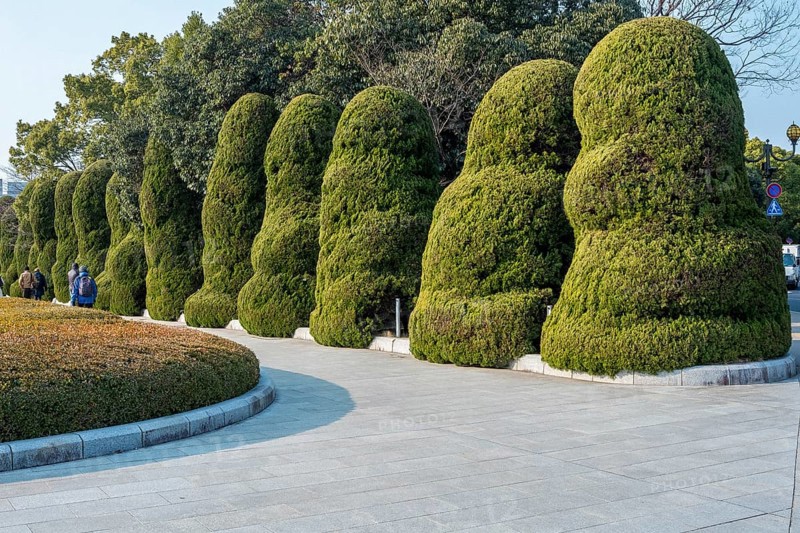 Artfully pruned bushes in Hiroshima Peace Park