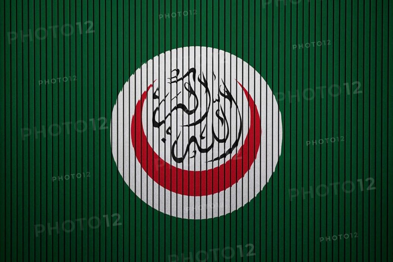 OIC Flag painted on the cracked grunge concrete wall, Organisation of Islamic Cooperation