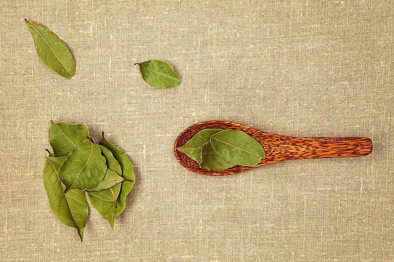 Bay leaves on wooden spoon on natural background - top view