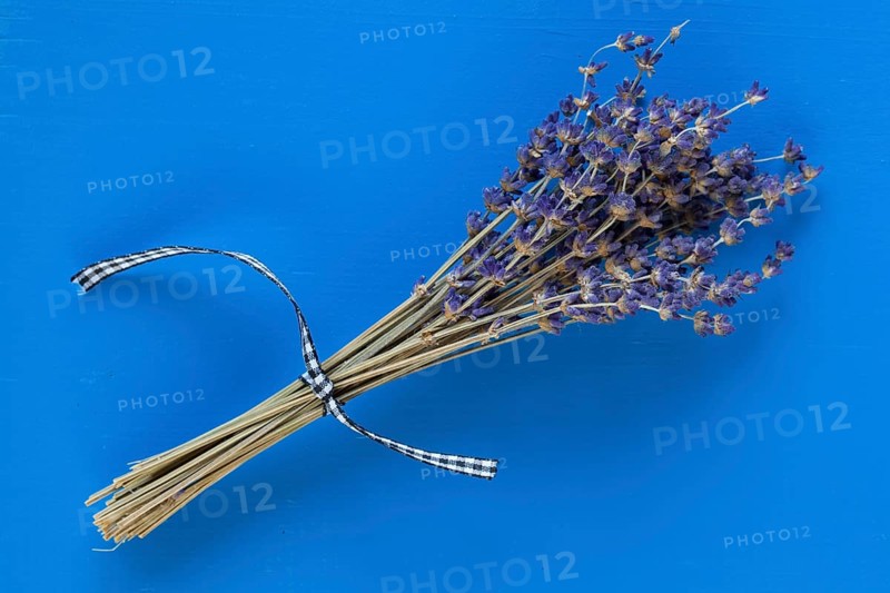 Bouquet of lavender flowers on the blue wooden table - Flat Lay Photography