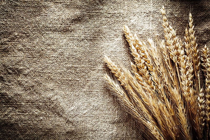 Rye ears on sacking background