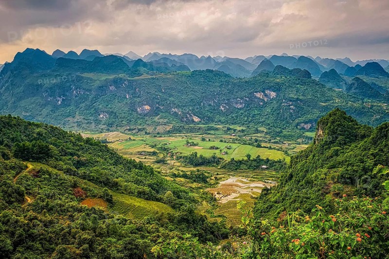 Typical Vietnamese landscape in spring with green vegetation