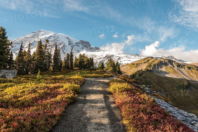 View on the magnificent Mount Rainier from Paradise Vista trail, USA
