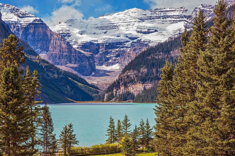 Banff National Park, Rocky Mountains, Canada. Emerald Lake is surrounded by mountains, glaciers and pine forests. Flowers on the embankment of glacial Lake Louise