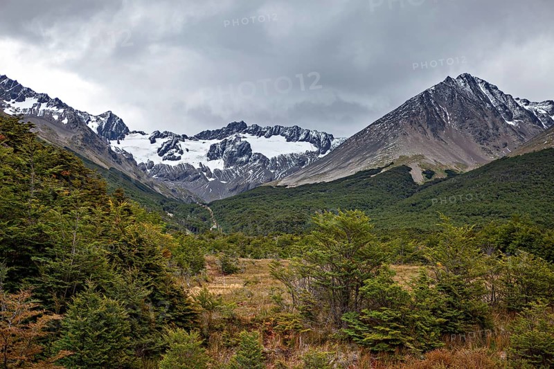 Mountain landscape with glacier and dense forest under a cloudy sky, The jungle of Tierra del Fuego near Ushuaia in Argentina