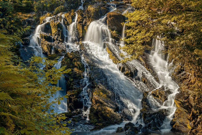 A view of the Swallow Falls waterfall in Anglesey in northern Wales surrounded by lush green summer vegetation