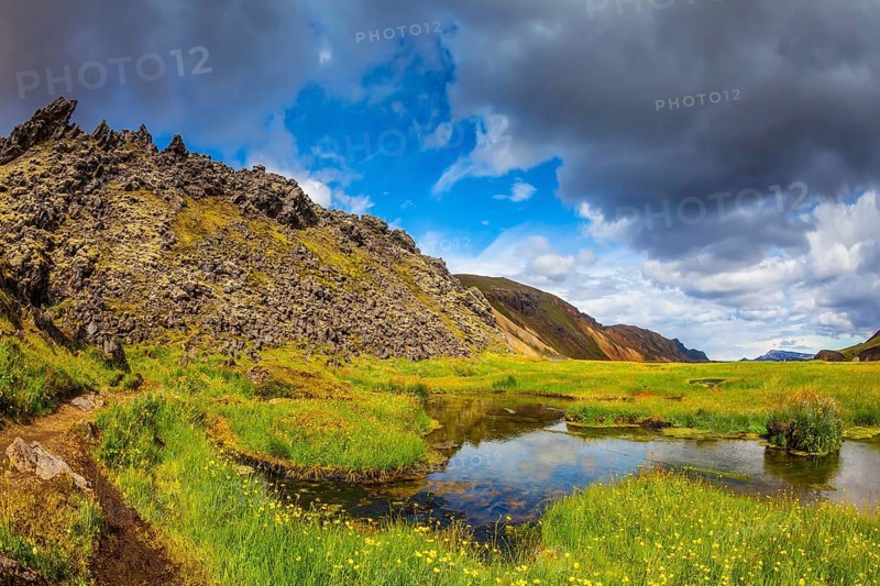 The picturesque valley in Landmannalaugar national park. Green grass among the thermal springs. Summer in Iceland