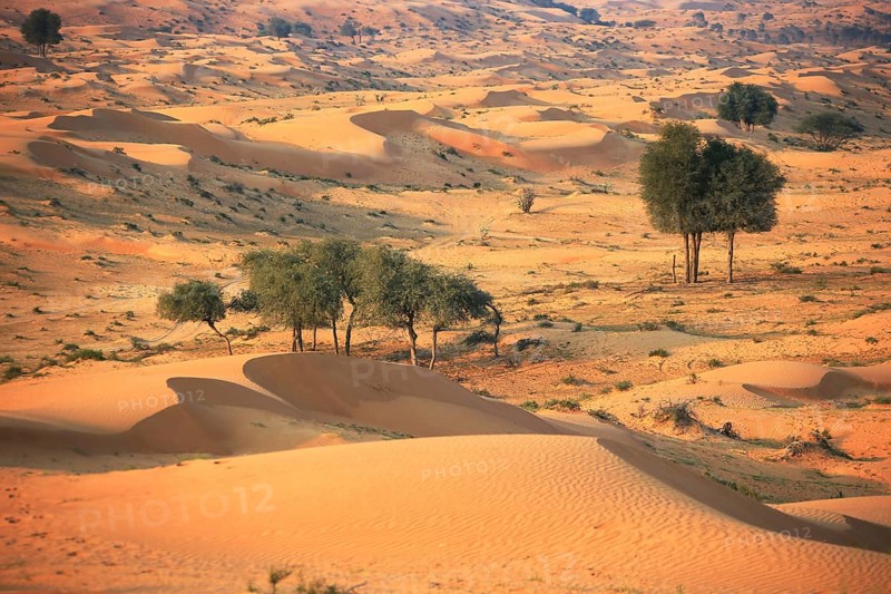 Rub al Khali Desert (Rub al Khali), Ras al Khaimah (Ra's al-Chaima), United Arab Emirates