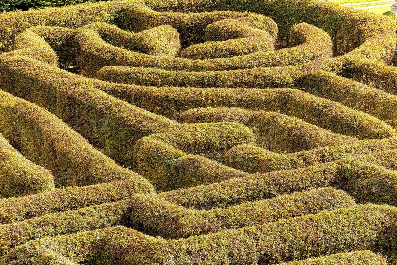 Labyrinth in a botanical garden in Poland