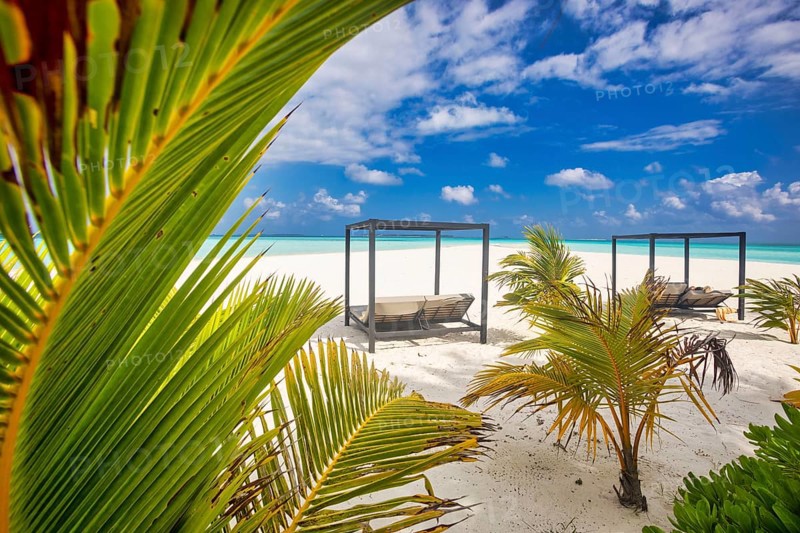 Idyllic Beach with Palm Treesat the Maldives, Indian Ocean, Asia