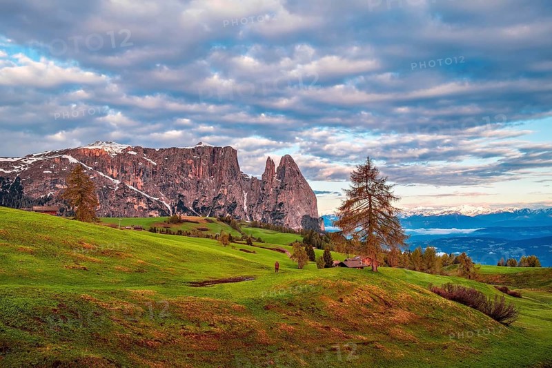 Panoramic view of Mount Sciliar on the Seiser Alm in the Dolomites in South Tyrol, Italy