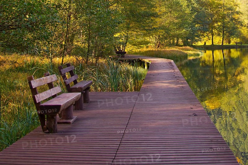 Autumn idyll