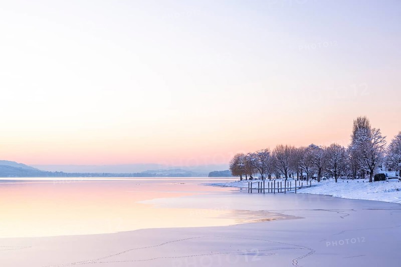 Winter landscape with snow-covered trees and frozen lake at dusk, Seegarten, Allensbach, Lake Constance, Baden-Württemberg, Germany