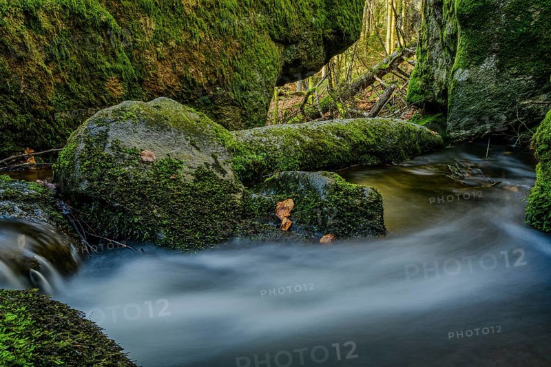 Moss-covered rocks surround a flowing stream in the forest, Höllbachtal, Upper Palatinate