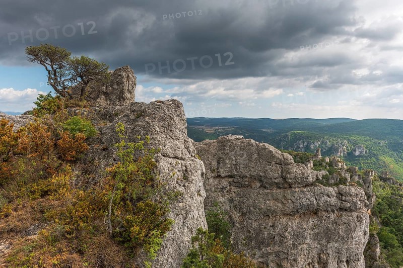 The city of stones, within Grands Causses Regional Natural Park, listed natural site with Dourbie Gorges at bottom. Aveyron, Cevennes, France