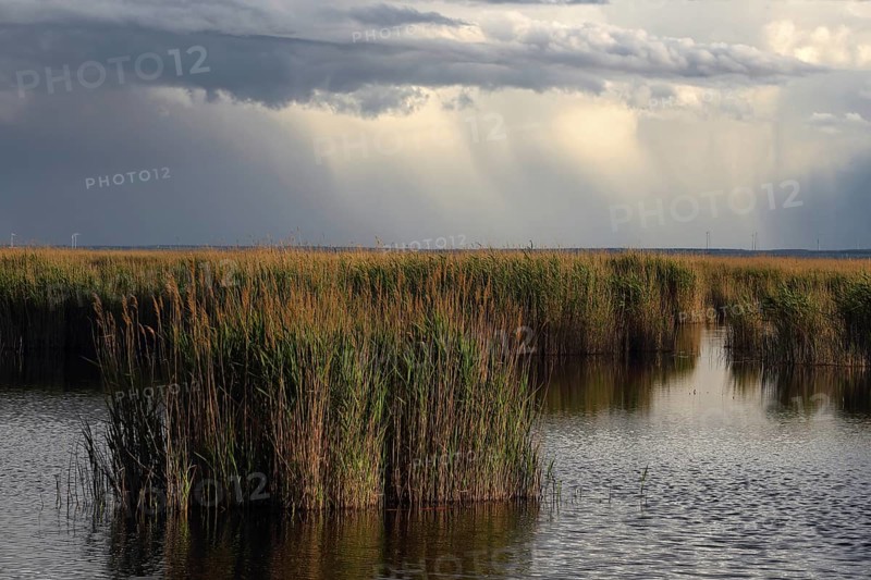 Lake Neusiedl National Park, rain front