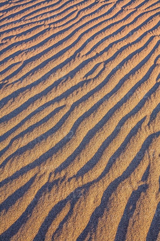 Mesquite Flat Sand Dunes - dunes in Death Valley, USA. Magical desert morning. The sand lies in light waves. The concept of active, extreme and photo tourism