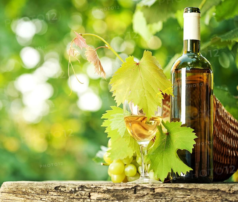White wine bottle, glass, young vine and bunch of grapes against green spring background