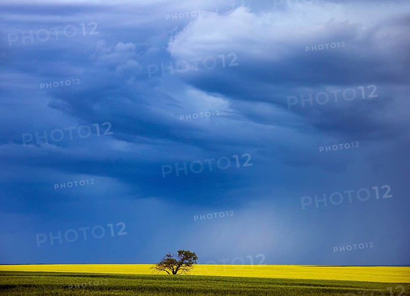 Ominous Storm Clouds Prairie Summer Rural Scene