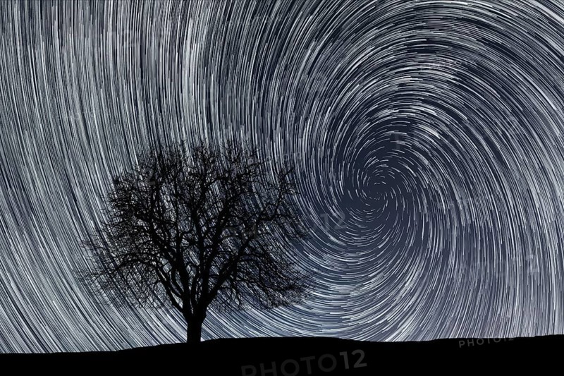 Star trails. Lonely tree