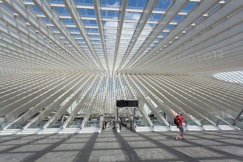 Liège-Guillemins train station by architect Santiago Calatrava, Liege, Belgium