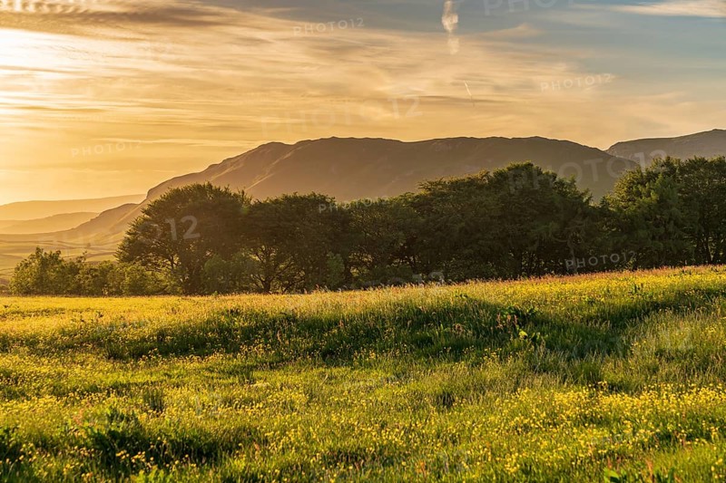 Evening light over the Yorkshire Dales near Settle, North Yorkshire, England, UK