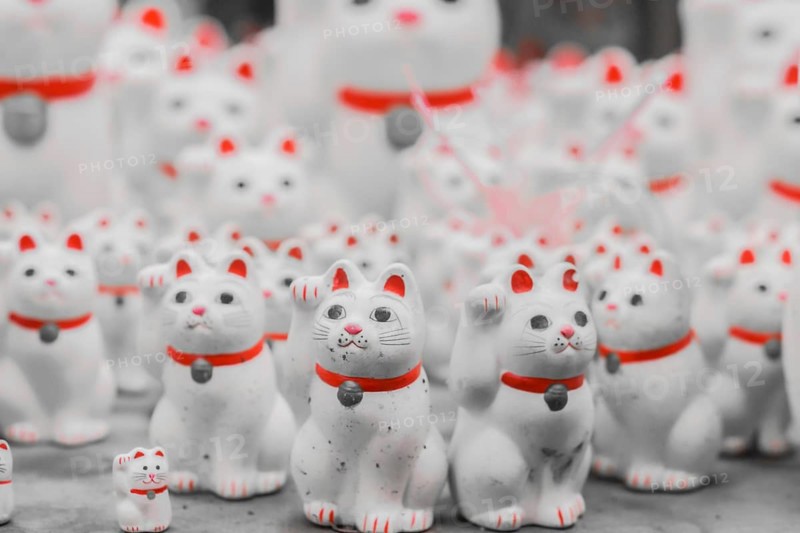 A lot of beckoning cat (Gotokuji). Shooting Location: Tokyo metropolitan area