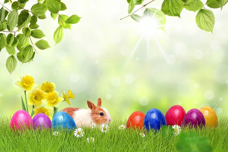 Easter 149
