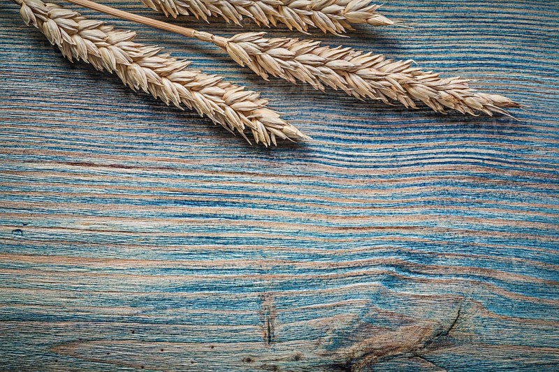 Golden wheat rye ears on wooden board top view