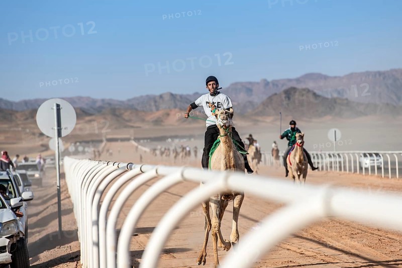 Camel jockey at the Al Ula Camel Cup race at the Mughayra Heritage Sports Village, Al Ula, Saudi Arabia