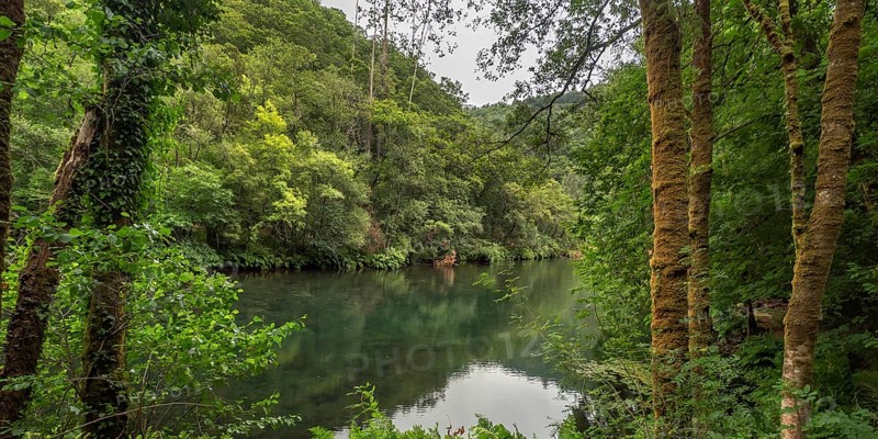 Fragas do Eume Natural Park, Pontedeume, La Coruña, Galicia, Spain