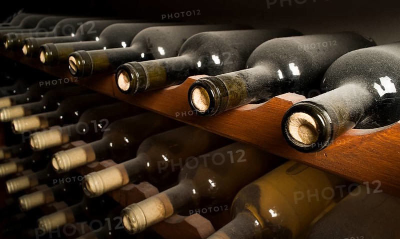 Wine bottles on shelf. Wine cellar. Close up wine bottles