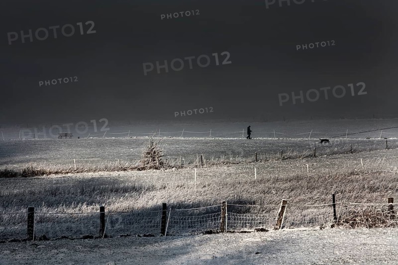 Winter walk with dog, Wesertal, Weser Uplands, Weserbergland, Hesse, Germany